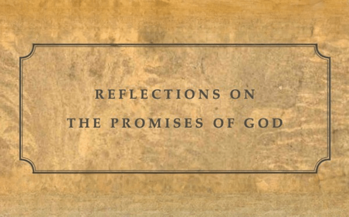 Reflections on the promises of God Big Little Bible