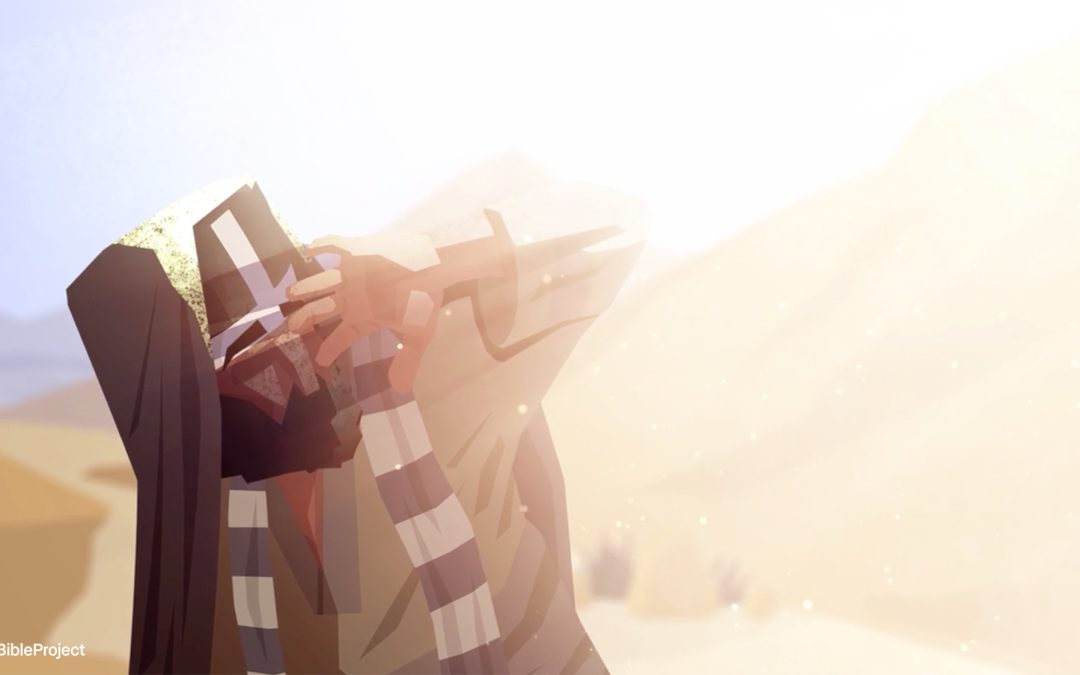 The Torah Series