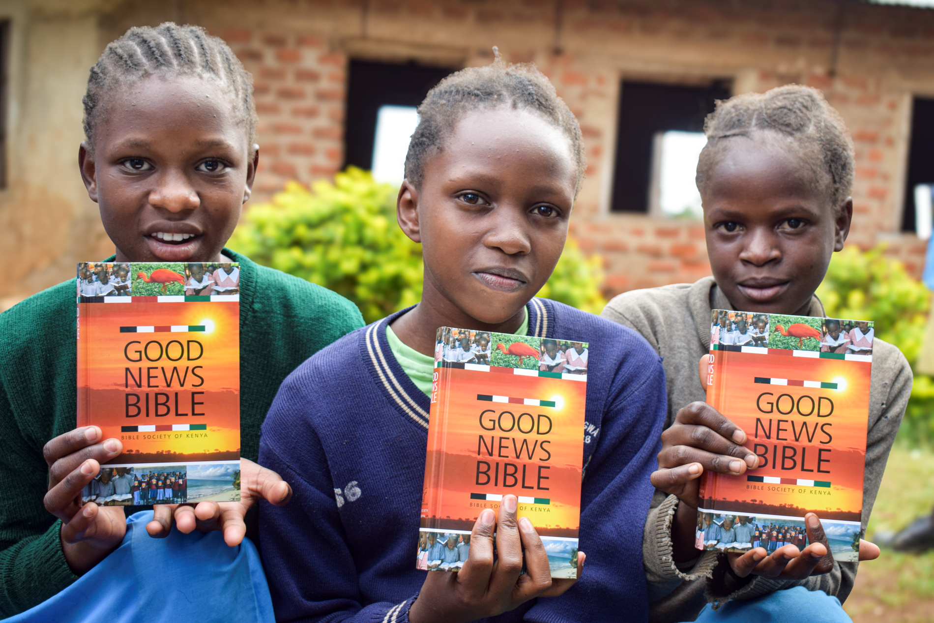 Bibles for children